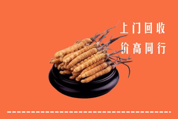 高价求购：江阴市回收散虫草