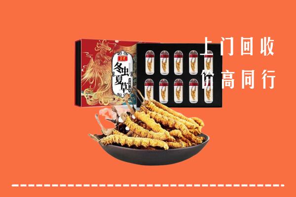 江阴市回收虫草